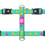 DUCKLINGS_SKU_Harness