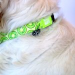 KIWI_SKU_Collar