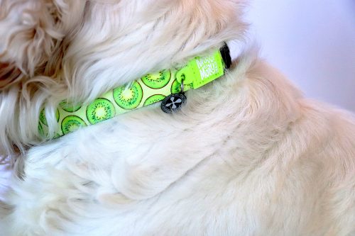 KIWI_MOOD_Collar (2)