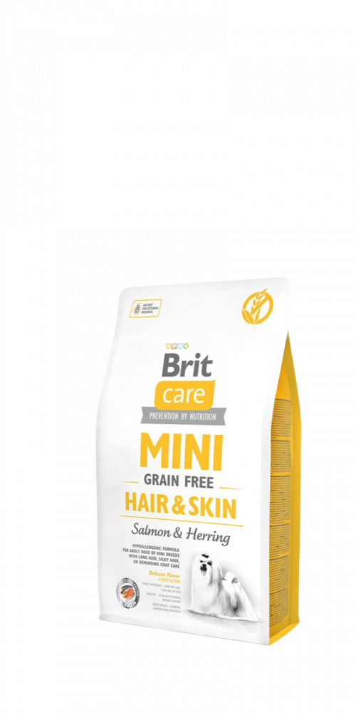 בריט קר כלב בוגר מיני -יורקשר-ורוד 2 קג